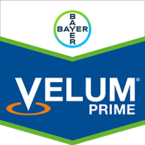 Velum Prime brand tag
